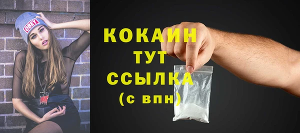 ешки Арсеньев