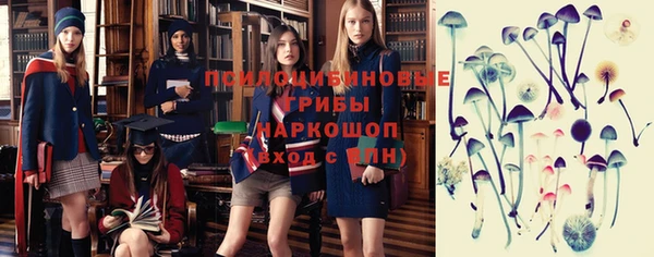 ешки Арсеньев