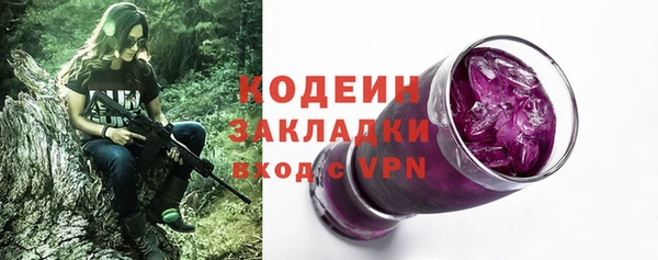 ешки Арсеньев